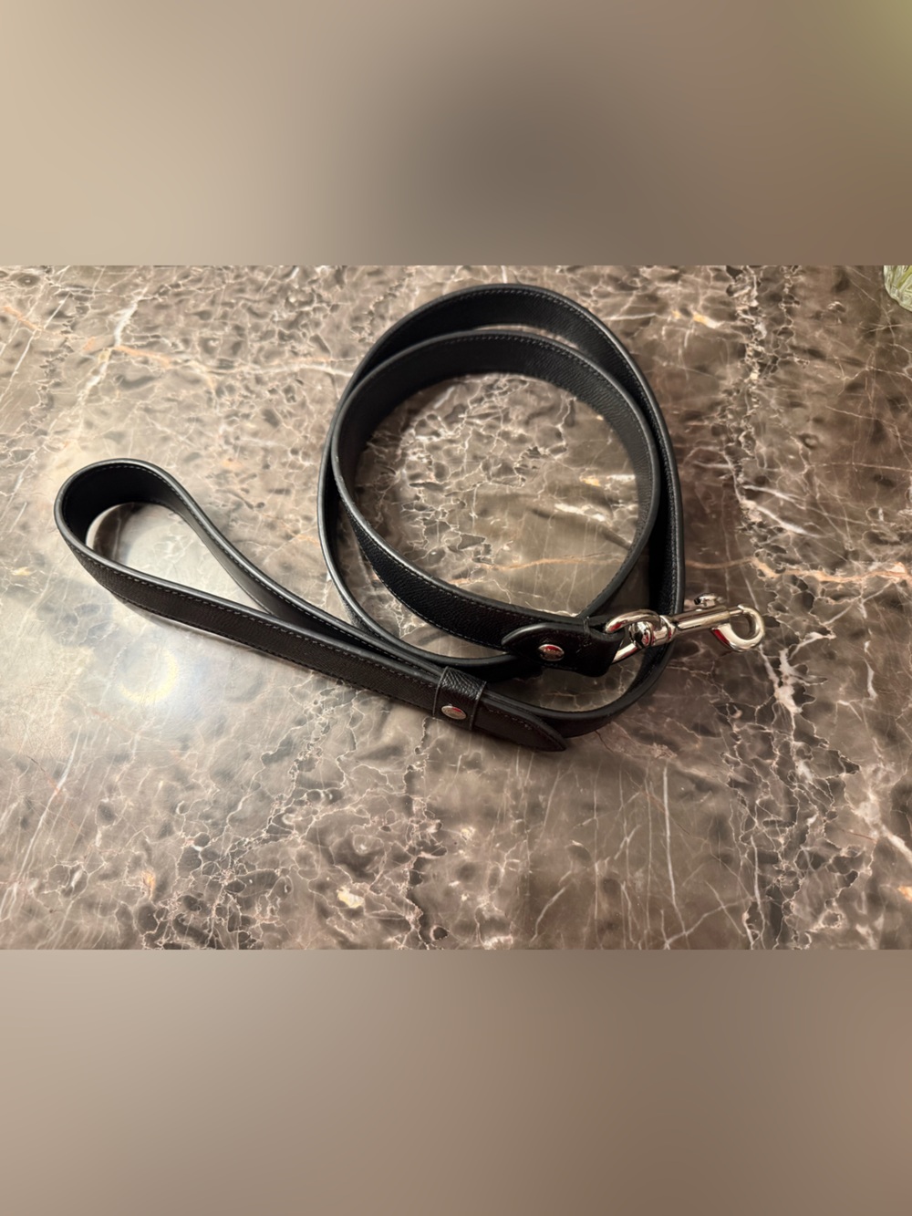 Coach Black Leather Dog Leash with Silver Hardware